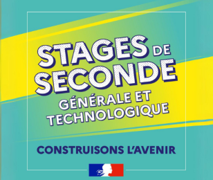 Stages de seconde