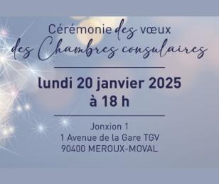Voeux interconsulaire 2025