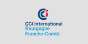 CCI International